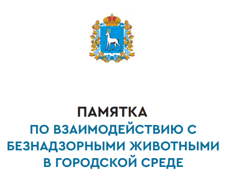 Памятка по взаимодействию с животными без владельцев в городской среде